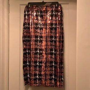 Zara Sequin Skirt